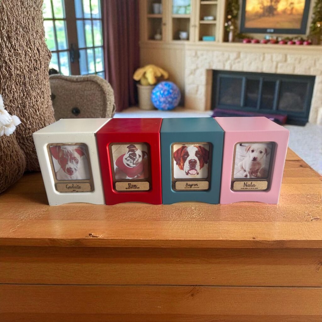 cremacion para mascotas pachuca 01