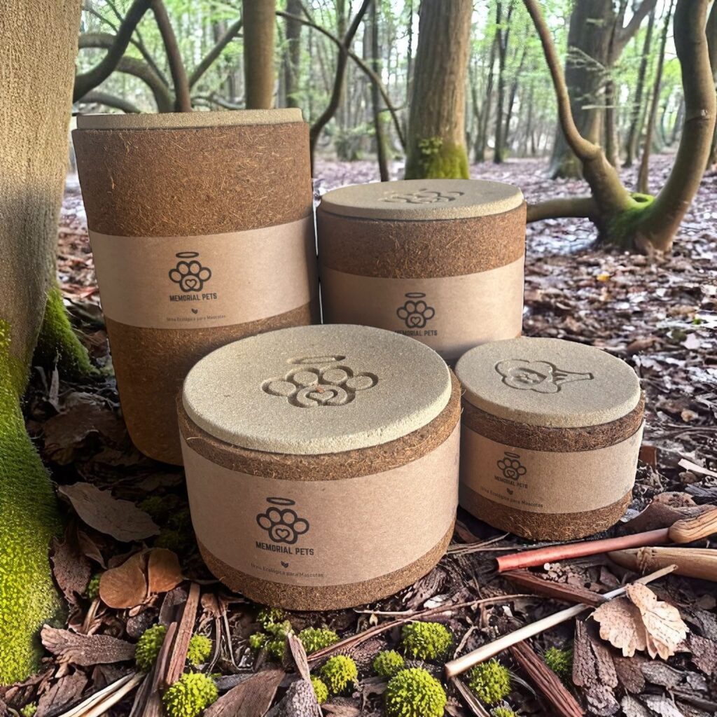 cremacion para mascotas pachuca 03