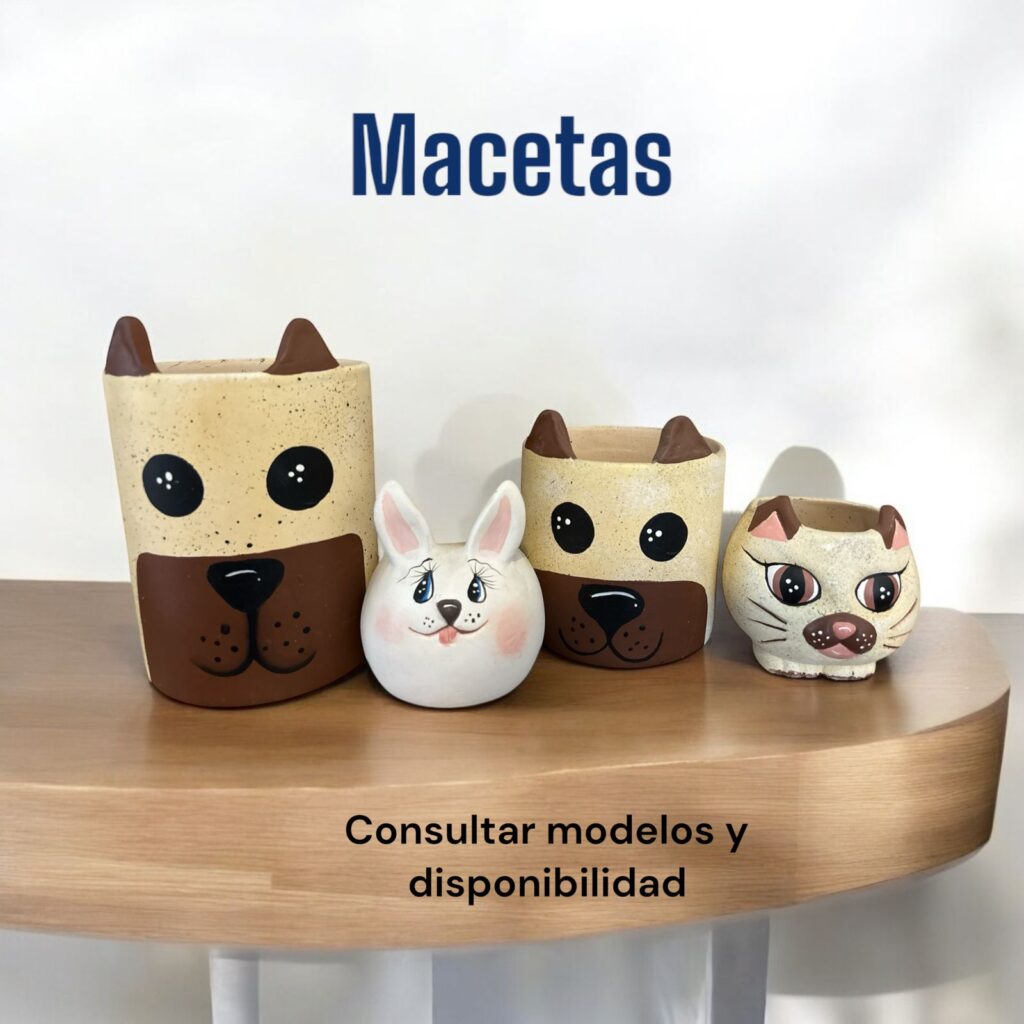 cremacion para mascotas pachuca 04